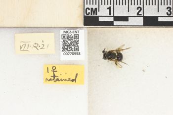 Media type: image;   Entomology 770958 Aspect: Labels